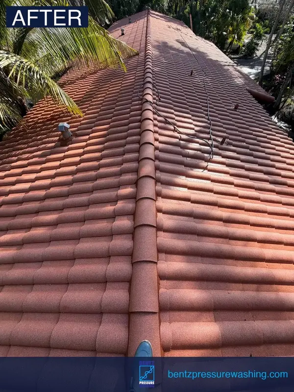 After roof soft washing in Fort Lauderdale